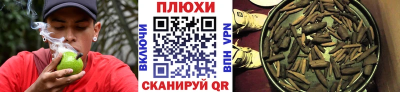 OMG ONION  Боровск  ГАШ AMNESIA HAZE 